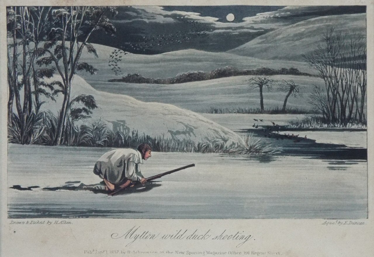 Aquatint - Mytton wild duck hunting. - Duncan